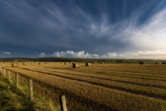 Orkney Fields - Personal